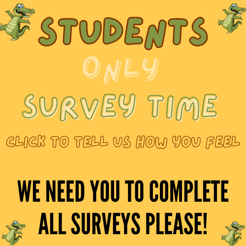  Student Survey